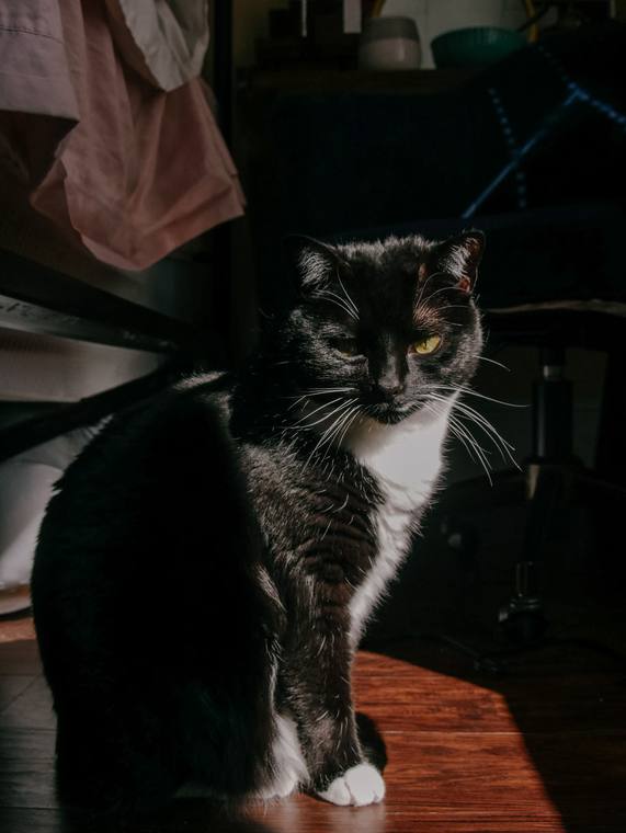 Photograph by Ashley Amezaga